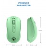 Profftech Mouse Optic Wireless USB Nano Silent Click G10