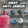 Obat Pembersih Kerak Jamur Kaca Mobil 200ml
