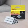 Xander Isi Staples 8mm per 1000Pcs XD-1841