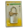 Yale Y120B-50-163-1 Padlock Gembok 50mm Panjang Silver
